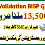 8171 Validation BISP Gov PK