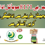 BISP 8171 Mobile Payments