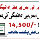 8171 BISP Payment Verification