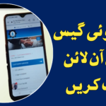 how to check sui gas bill online in pakistan