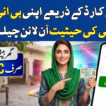 Check Your BISP Payment Status Online by CNIC