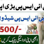 BISP 8171 Payment Schedule