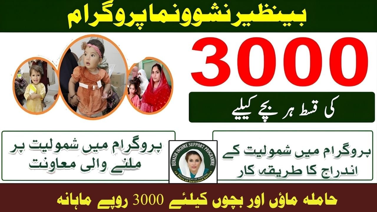 BISP Nashonuma Program