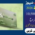 CM Punjab Himmat Card