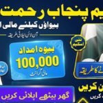 CM Punjab Rehmat Card Registration