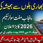 CM Punjab Solar Panel Scheme