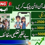 BISP Taleemi Wazaif Payment Check Online