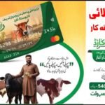 New Update: CM Punjab Livestock Card SMS Code 8070 Now Active for 2026 Registration