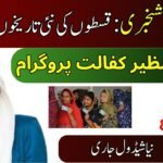 BISP 13,500 Payment Schedule